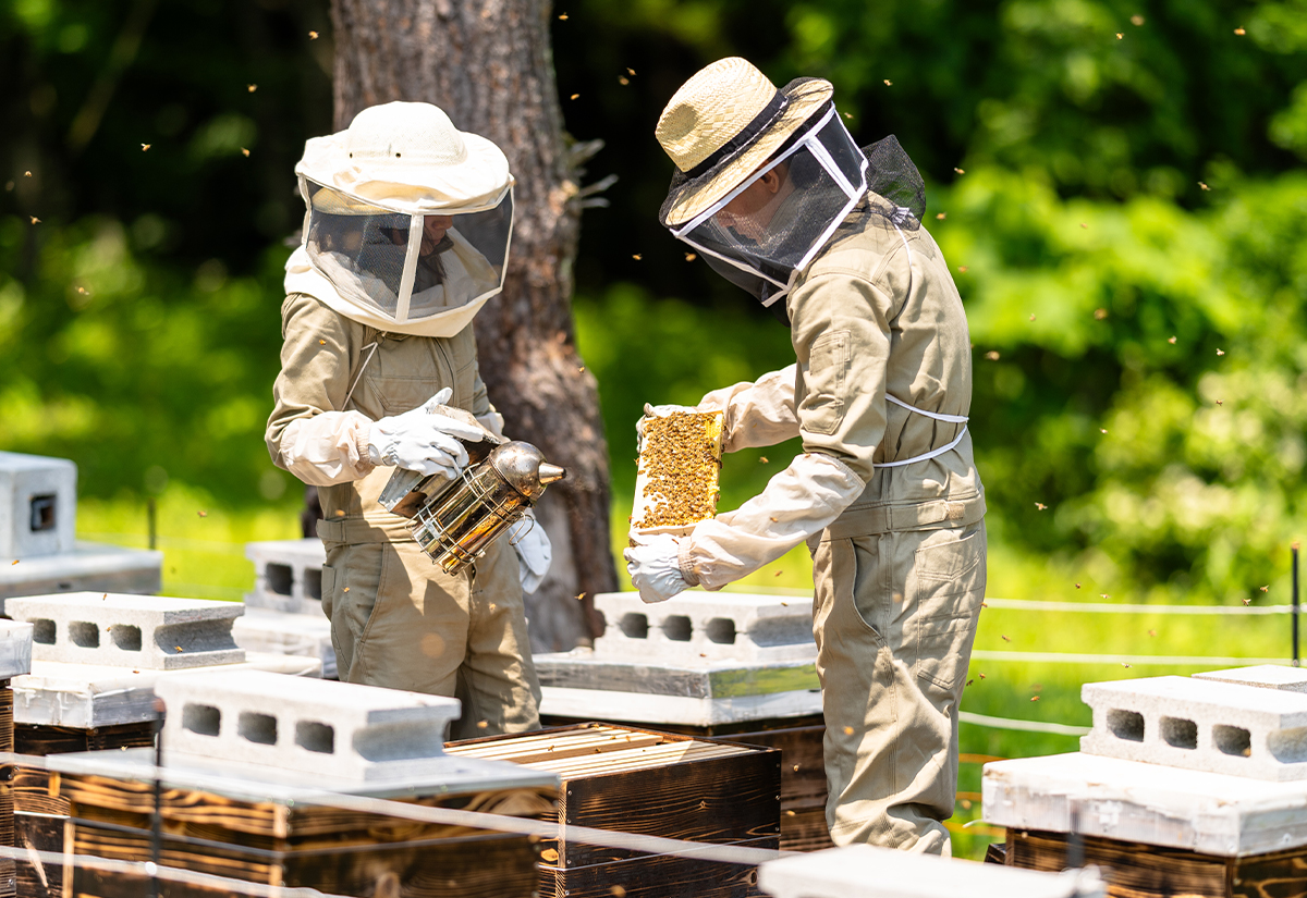 岩手のはちみつを作っているモカメル養蜂場