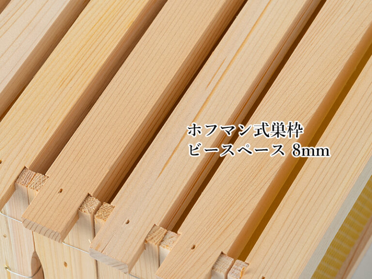 u20250601