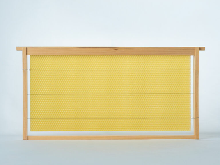 u20250602