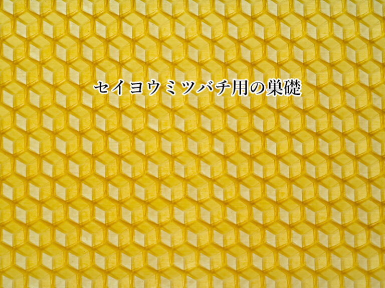 u20250601