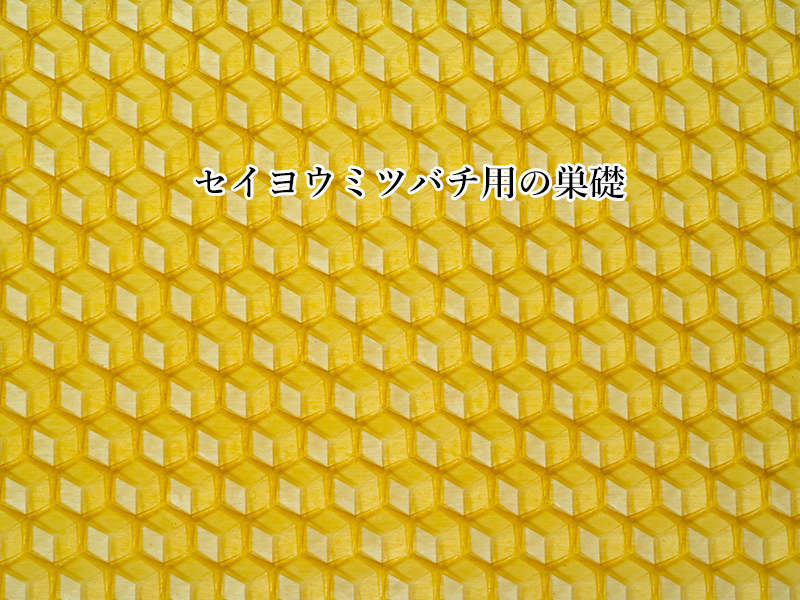 u20250601