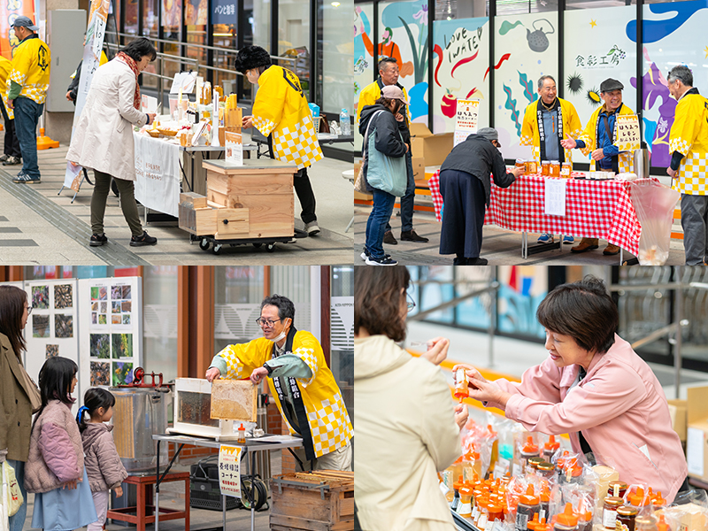 養蜂家たちの交流と実演