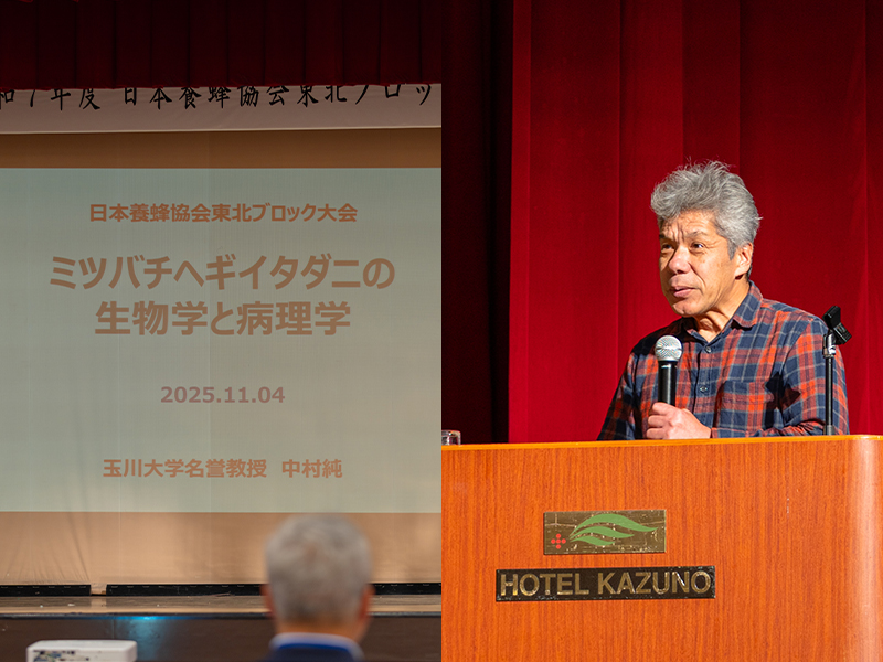 玉川大学元教授・中村純先生による講演「ミツバチヘギイタダニの生物学と病理学」の様子